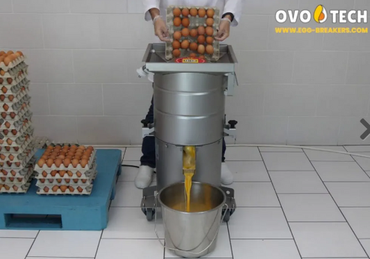 Best Egg Egg Breaking Machines for 2024