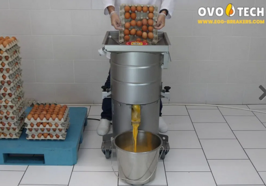 Best Egg Egg Breaking Machines On The Market