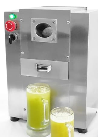 FS-Sugar Mini Sugarcane Cold Press Juicer